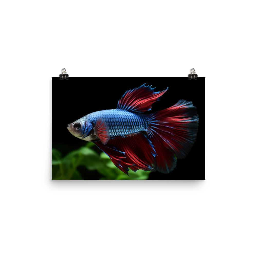 The Mystic Betta Photo paper poster - Posterfy.AI