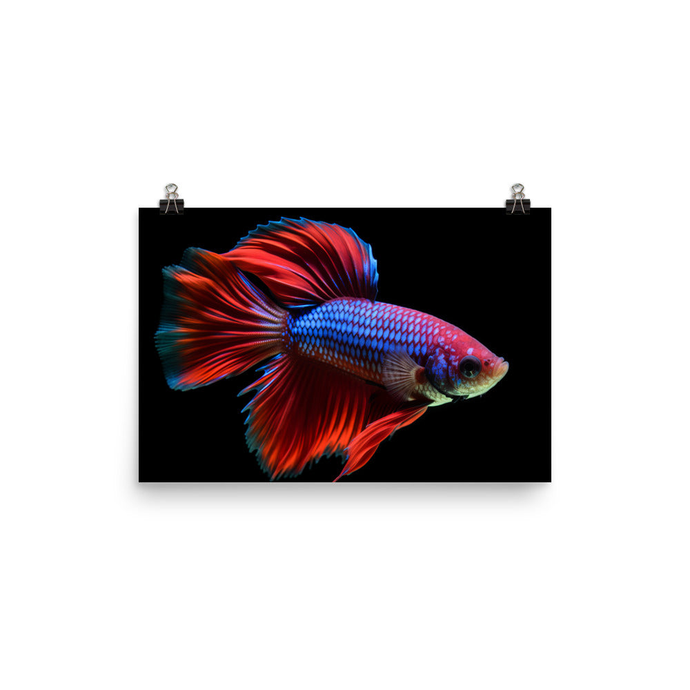 The Colorful Betta Photo paper poster - Posterfy.AI