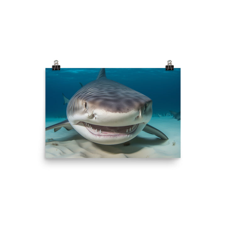 Tiger Shark Photo paper poster - Posterfy.AI