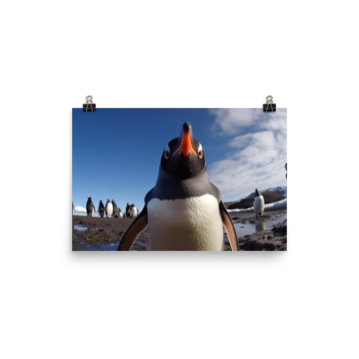 Curious Gentoo Penguin Photo paper poster - Posterfy.AI