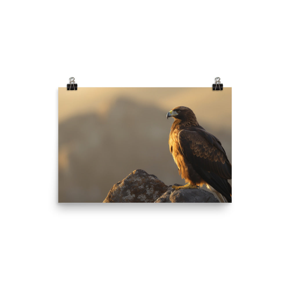 Majestic Golden Eagle perched on a rocky outcrop Photo paper poster - Posterfy.AI