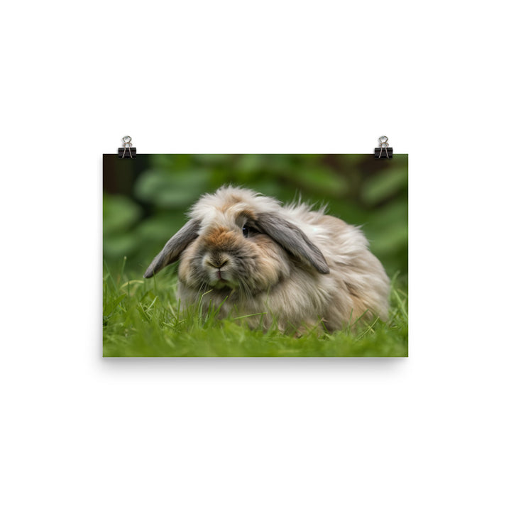 Fluffy American Fuzzy Lop photo paper poster - Posterfy.AI