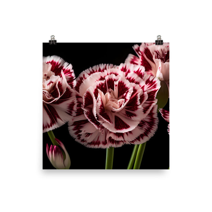 Unique Striped Carnations photo paper poster - Posterfy.AI