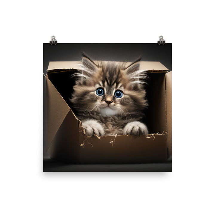 A fluffy kitten peering curiously out of a small cardboard box photo paper poster - Posterfy.AI