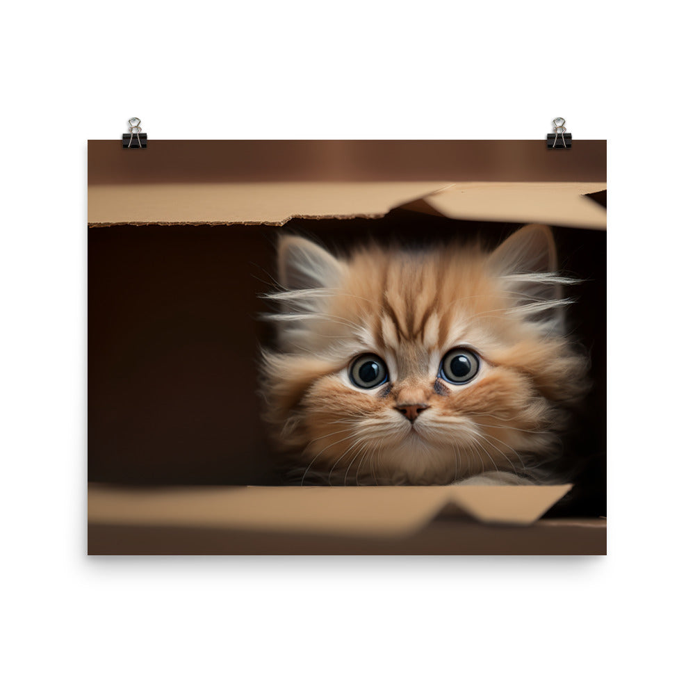 A fluffy kitten peering curiously out of a small cardboard box photo paper poster - Posterfy.AI