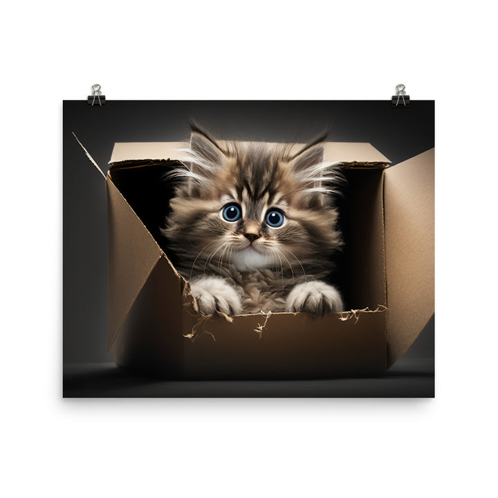 A fluffy kitten peering curiously out of a small cardboard box photo paper poster - Posterfy.AI