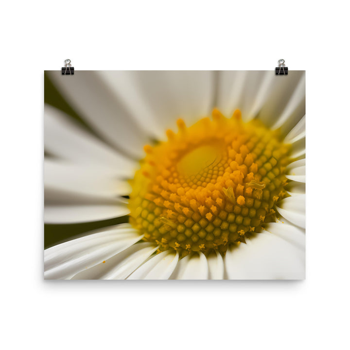Daisy Petals photo paper poster - Posterfy.AI