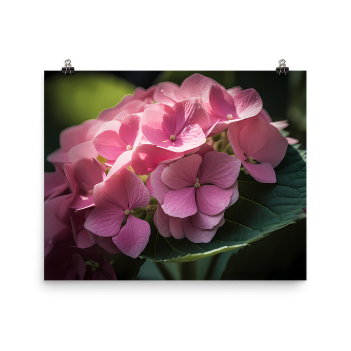 Soft Pink Hydrangea photo paper poster - Posterfy.AI