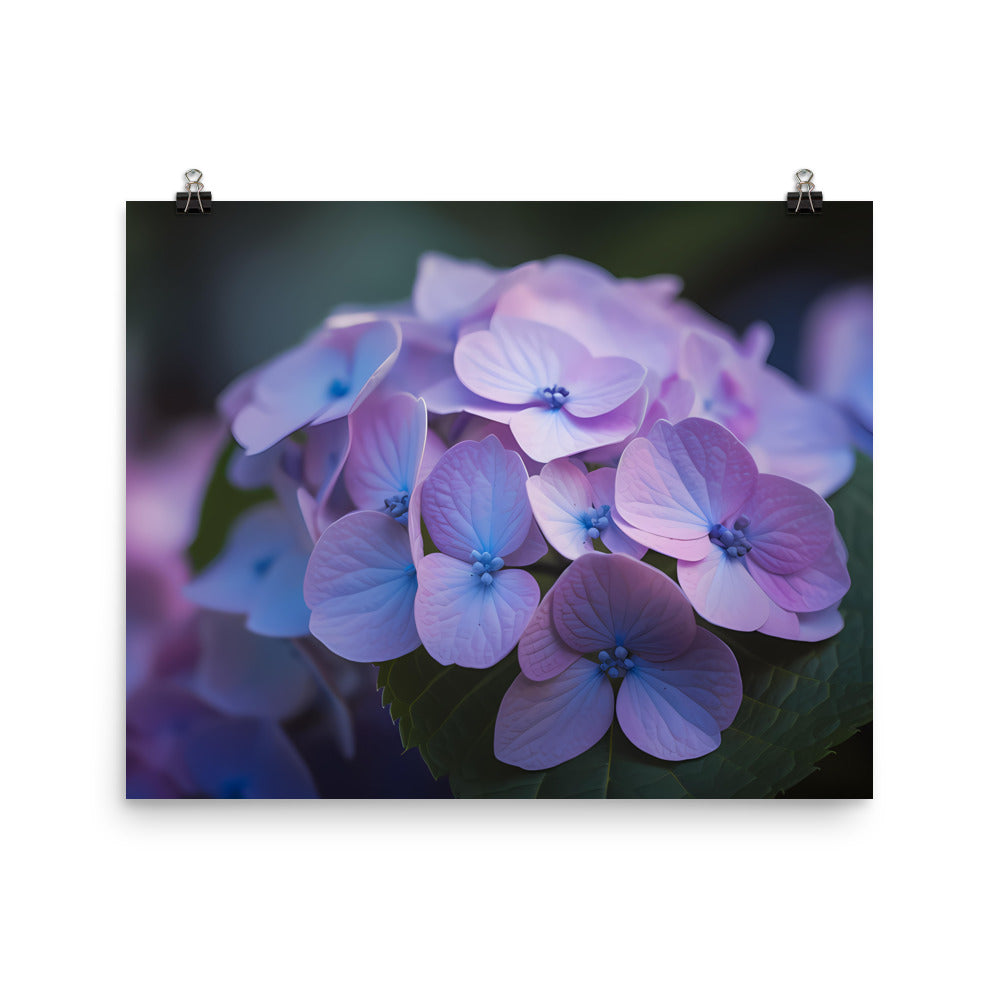 Soft and Dreamy Hydrangea photo paper poster - Posterfy.AI