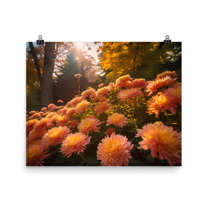 Chrysanthemums in the Fall Foliage photo paper poster - Posterfy.AI