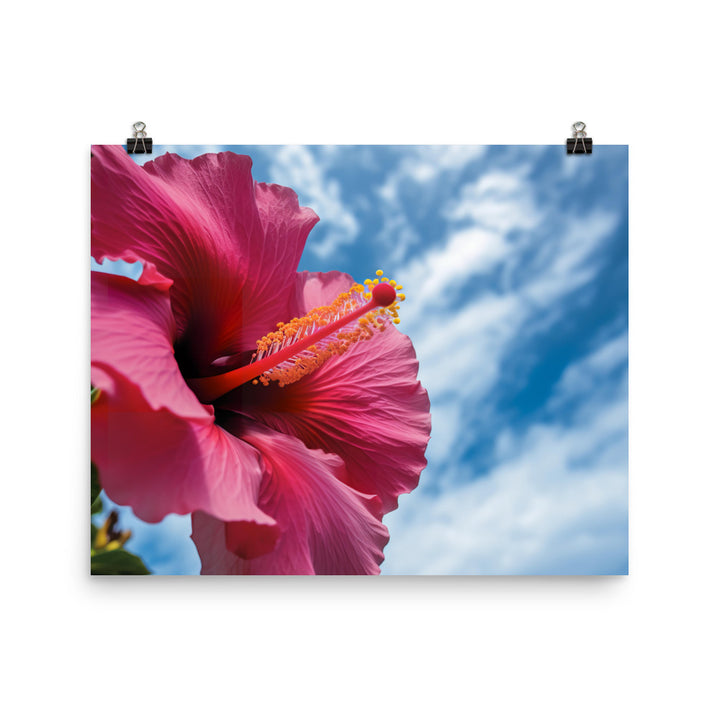 Hibiscus Flower Against a Blue Sky photo paper poster - Posterfy.AI