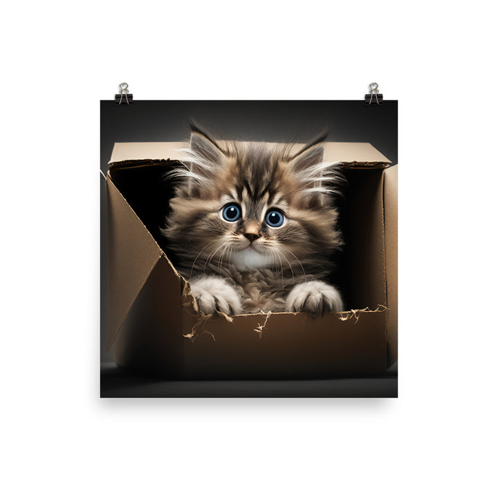 A fluffy kitten peering curiously out of a small cardboard box photo paper poster - Posterfy.AI