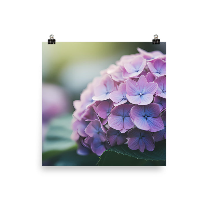 Soft and Dreamy Hydrangea photo paper poster - Posterfy.AI