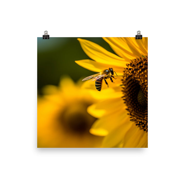 Bee Among Sunflowers photo paper poster - Posterfy.AI