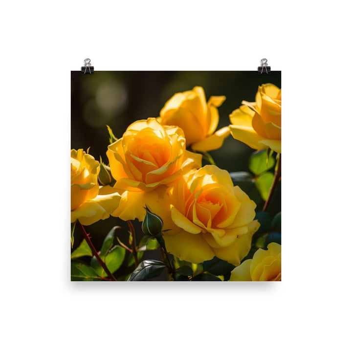 Sunny Yellow Roses photo paper poster - Posterfy.AI