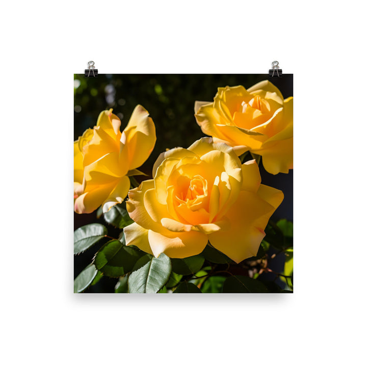 Sunny Yellow Roses photo paper poster - Posterfy.AI