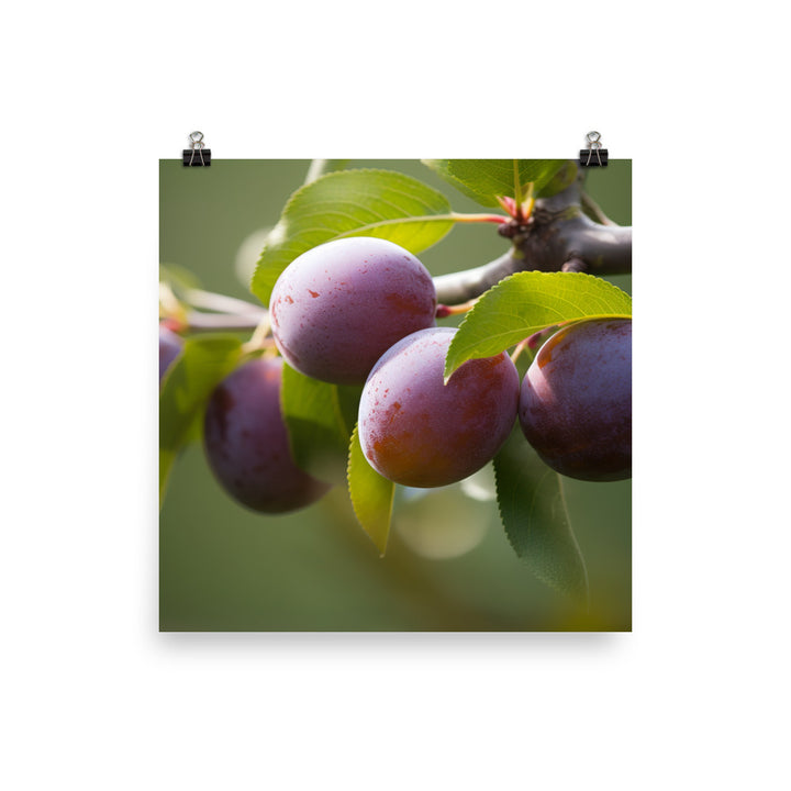 Plums on a Tree photo paper poster - Posterfy.AI