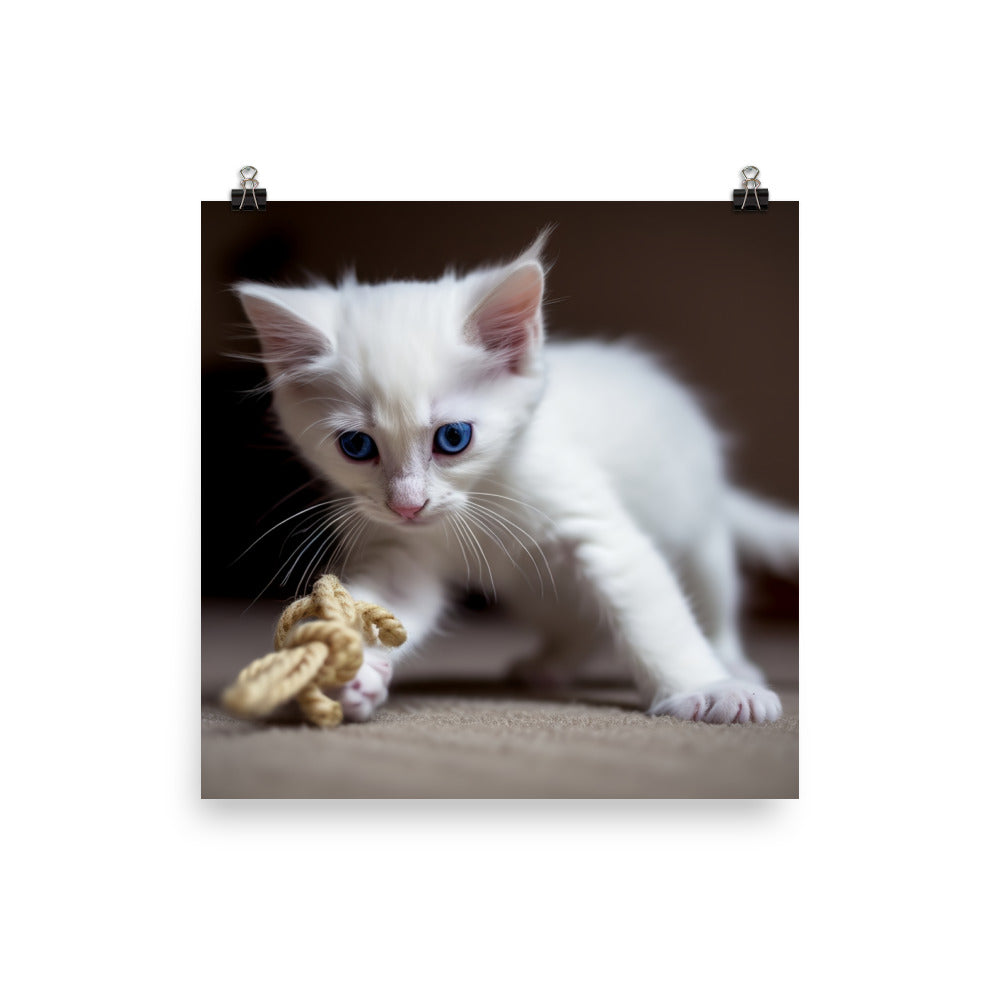 Adorable Turkish Angora kitten playing with a toy photo paper poster - Posterfy.AI