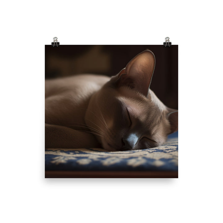 Sleeping Burmese Beauty photo paper poster - Posterfy.AI