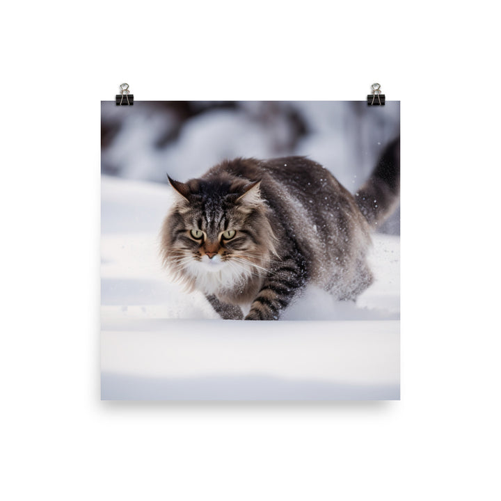 Norwegian Forest Cat Playing in the Snow photo paper poster - Posterfy.AI