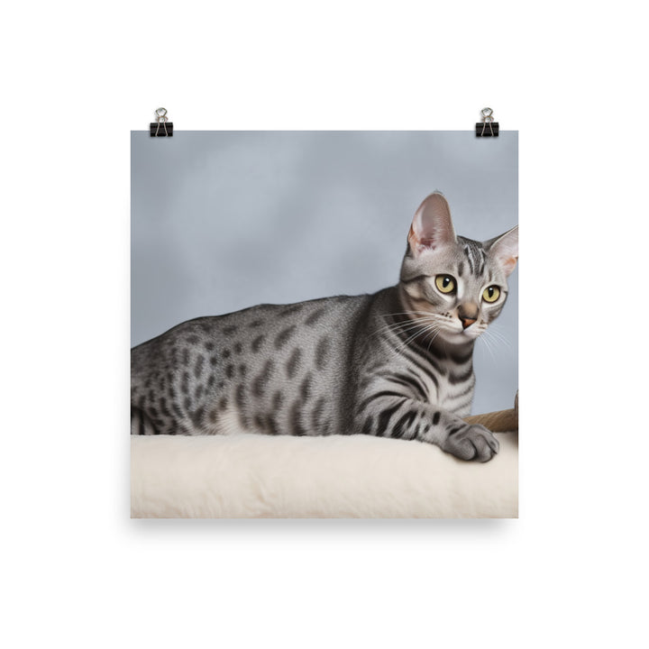 Egyptian Mau playing with toys  photo paper poster - Posterfy.AI