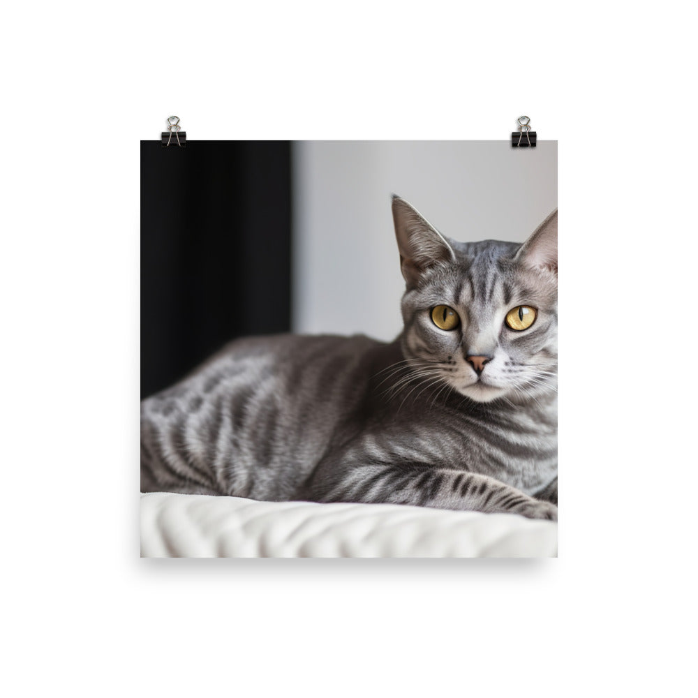 Egyptian Mau lounging photo paper poster - Posterfy.AI