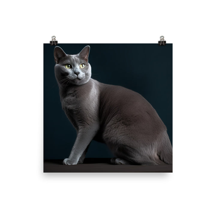 Russian Blue Elegance photo paper poster - Posterfy.AI