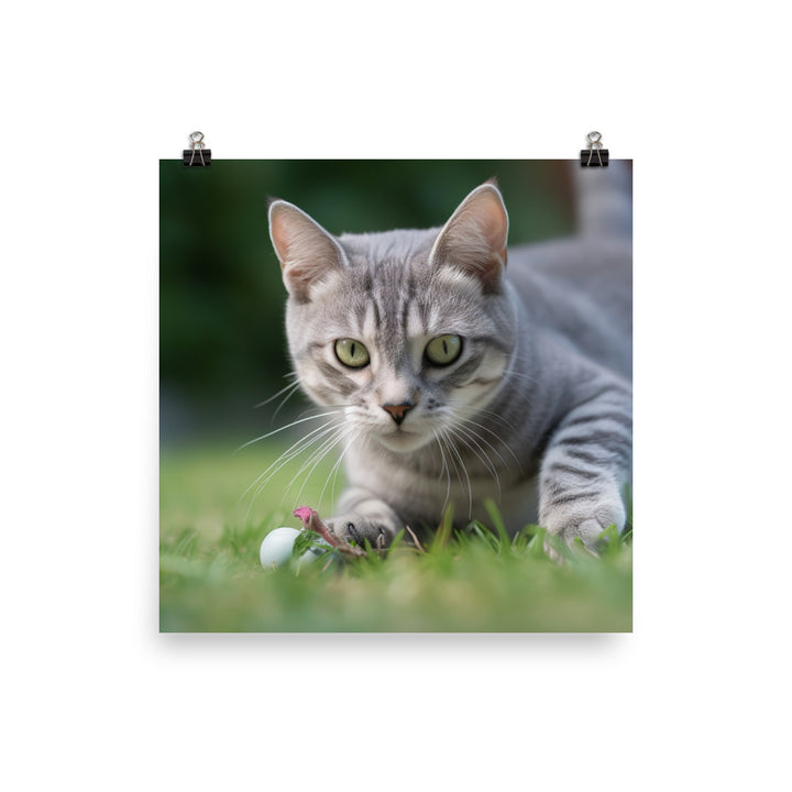 Adorable American Shorthair playing with toy mouse photo paper poster - Posterfy.AI