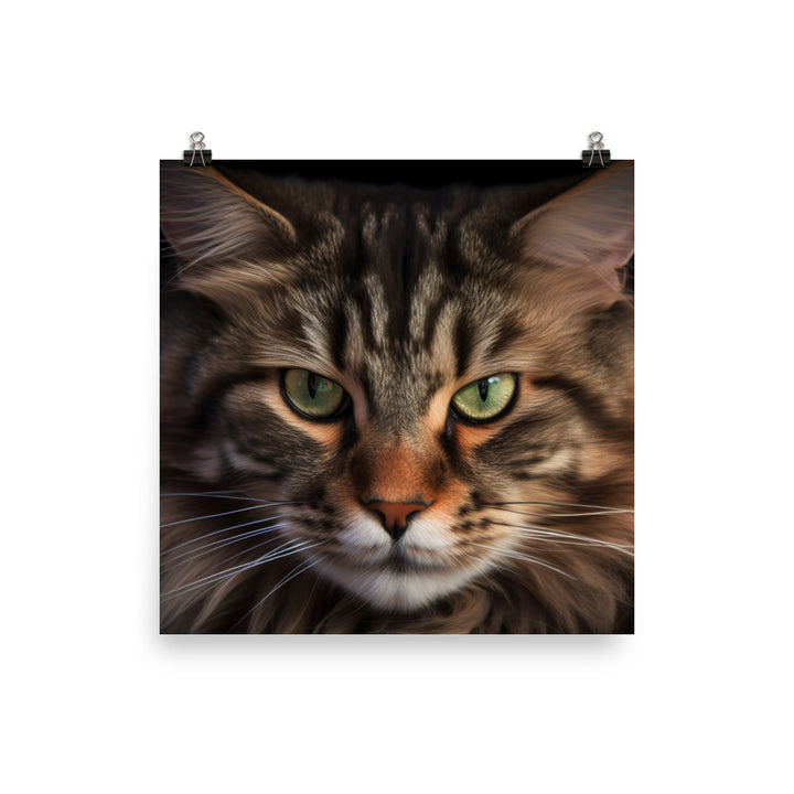 The majestic beauty of a Maine Coon photo paper poster - Posterfy.AI