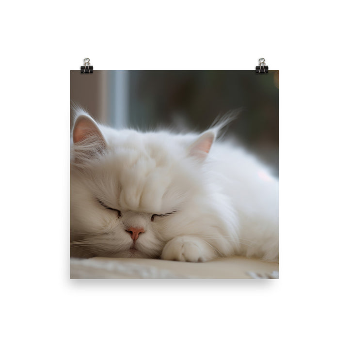 Sleeping Persian Purrfectly photo paper poster - Posterfy.AI