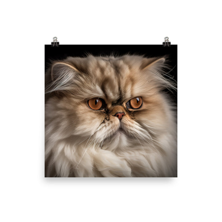 Regal Persian Cat photo paper poster - Posterfy.AI