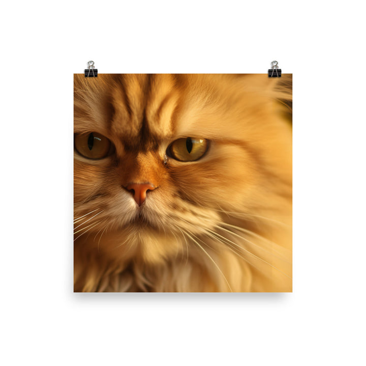 Golden Persian Beauty photo paper poster - Posterfy.AI