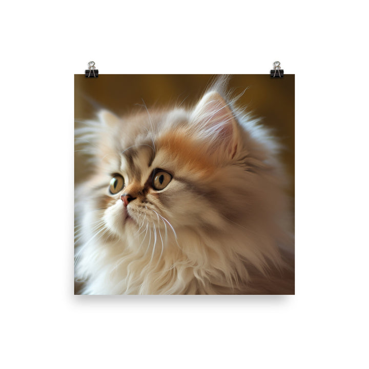 Fluffy Persian Kitten photo paper poster - Posterfy.AI