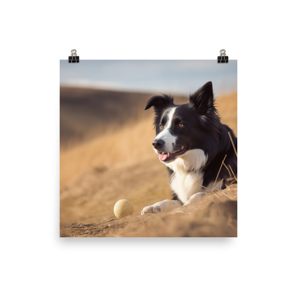 Loyal Border Collie at Work photo paper poster - Posterfy.AI