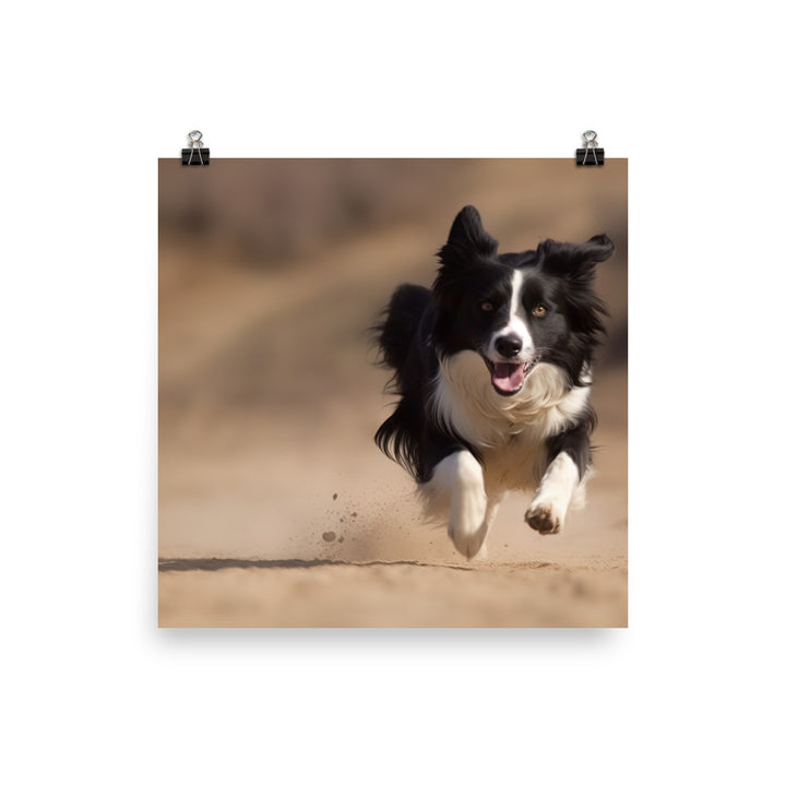 Energetic Border Collie in Action photo paper poster - Posterfy.AI