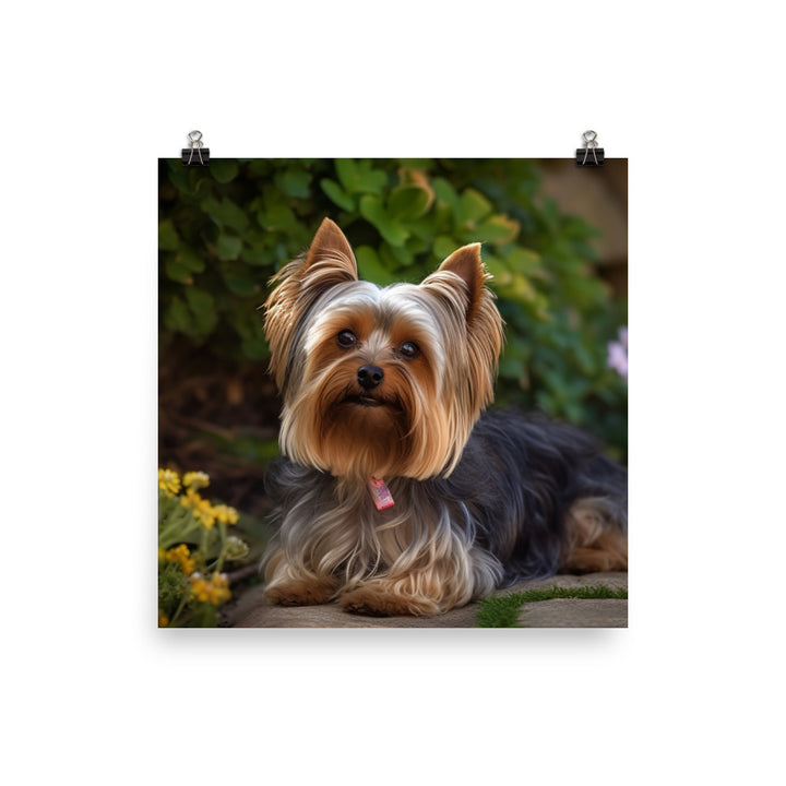 Yorkshire Terrier in the Garden photo paper poster - Posterfy.AI