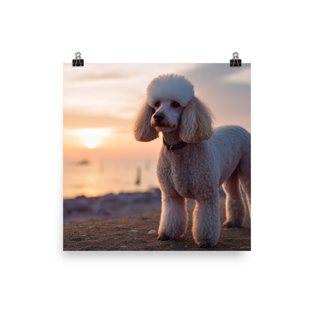 Poodle by the Seaside photo paper poster - Posterfy.AI