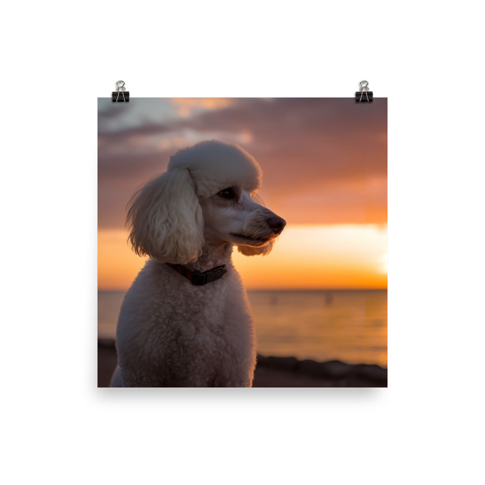 Poodle by the Seaside photo paper poster - Posterfy.AI