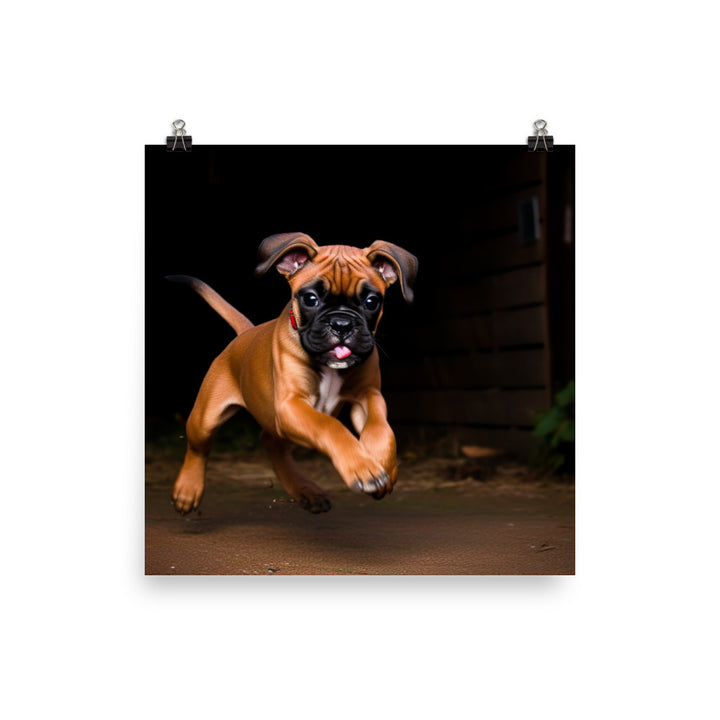 Playful Boxer Pup photo paper poster - Posterfy.AI