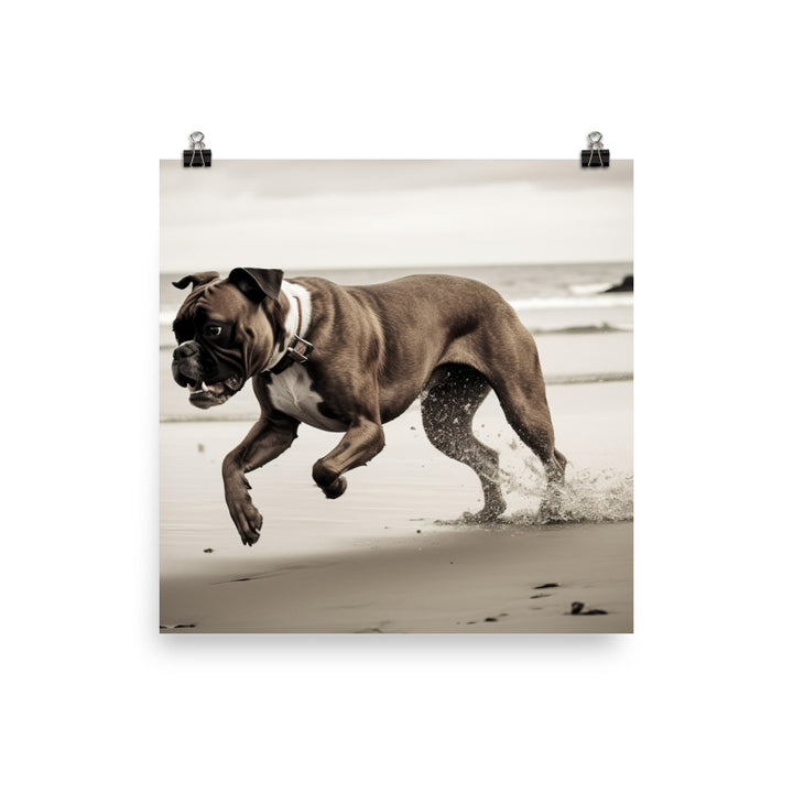 Boxer at the Beach photo paper poster - Posterfy.AI