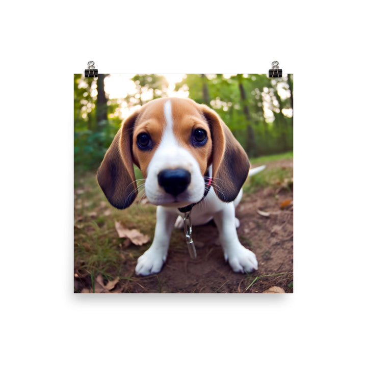 The curious eyes of a Beagle pup photo paper poster - Posterfy.AI