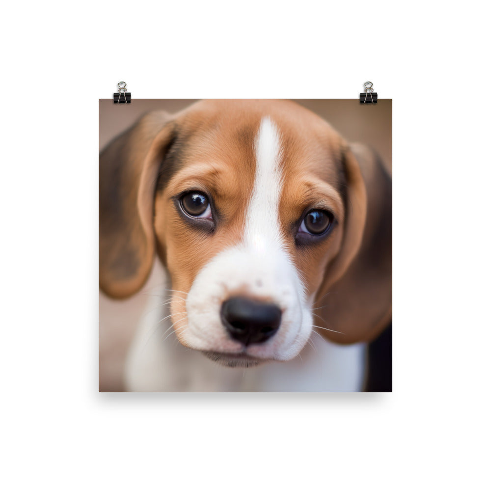 Adorable Beagle posing for the camera photo paper poster - Posterfy.AI