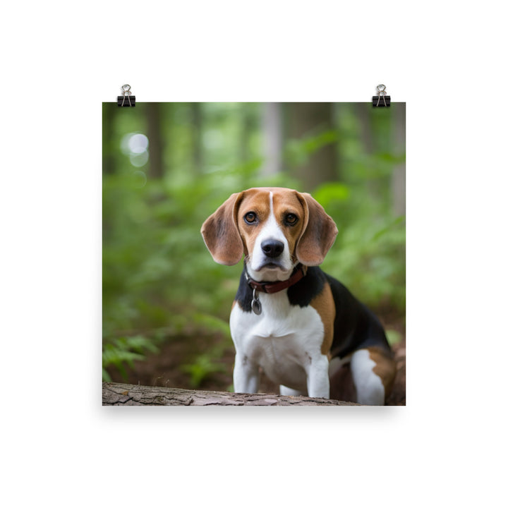 Proud Beagle posing for the camera photo paper poster - Posterfy.AI