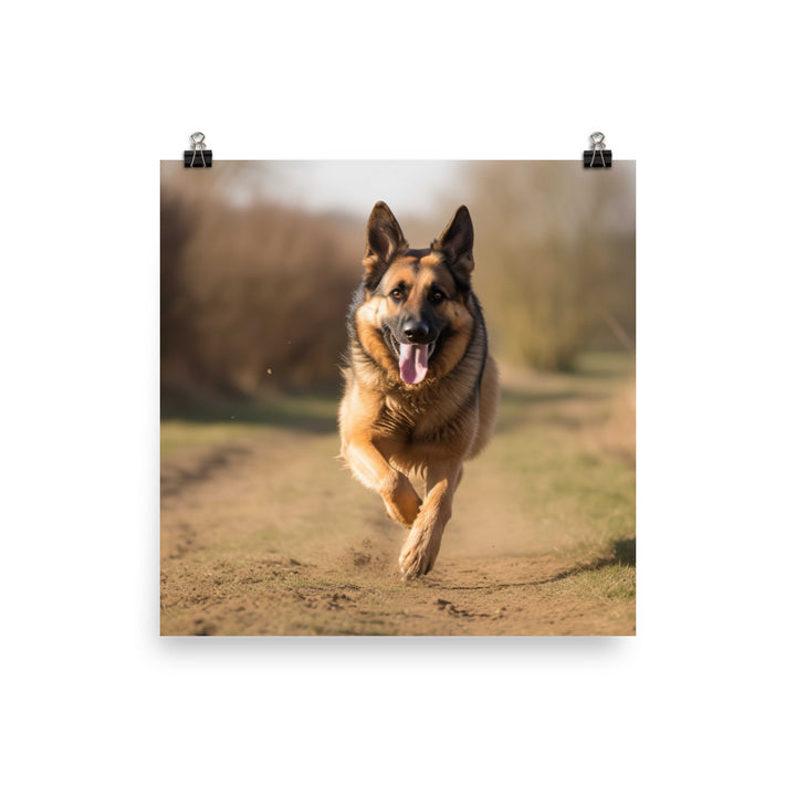 German Shepherd in motion photo paper poster - Posterfy.AI