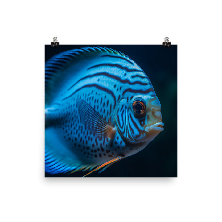 Captivating Discus Fish with a Striking Blue Hue Photo paper poster - Posterfy.AI