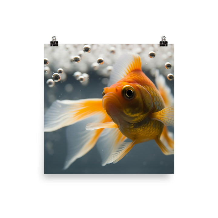 Gorgeous Goldfish in a Glass Tank Photo paper poster - Posterfy.AI