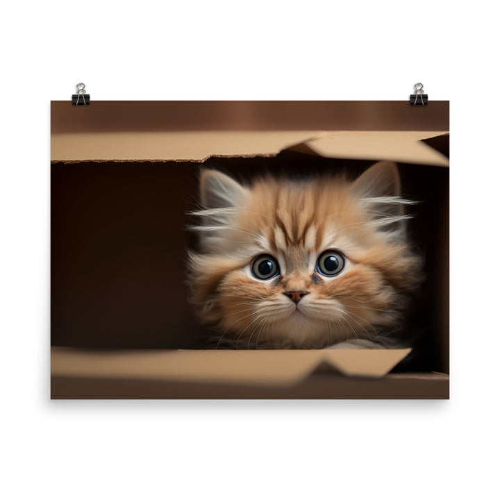 A fluffy kitten peering curiously out of a small cardboard box photo paper poster - Posterfy.AI