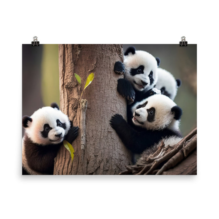 A mischievous panda cub playing with its siblings in a tree photo paper poster - Posterfy.AI