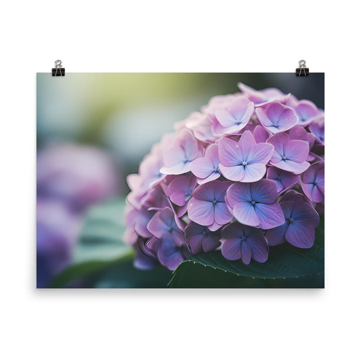 Soft and Dreamy Hydrangea photo paper poster - Posterfy.AI