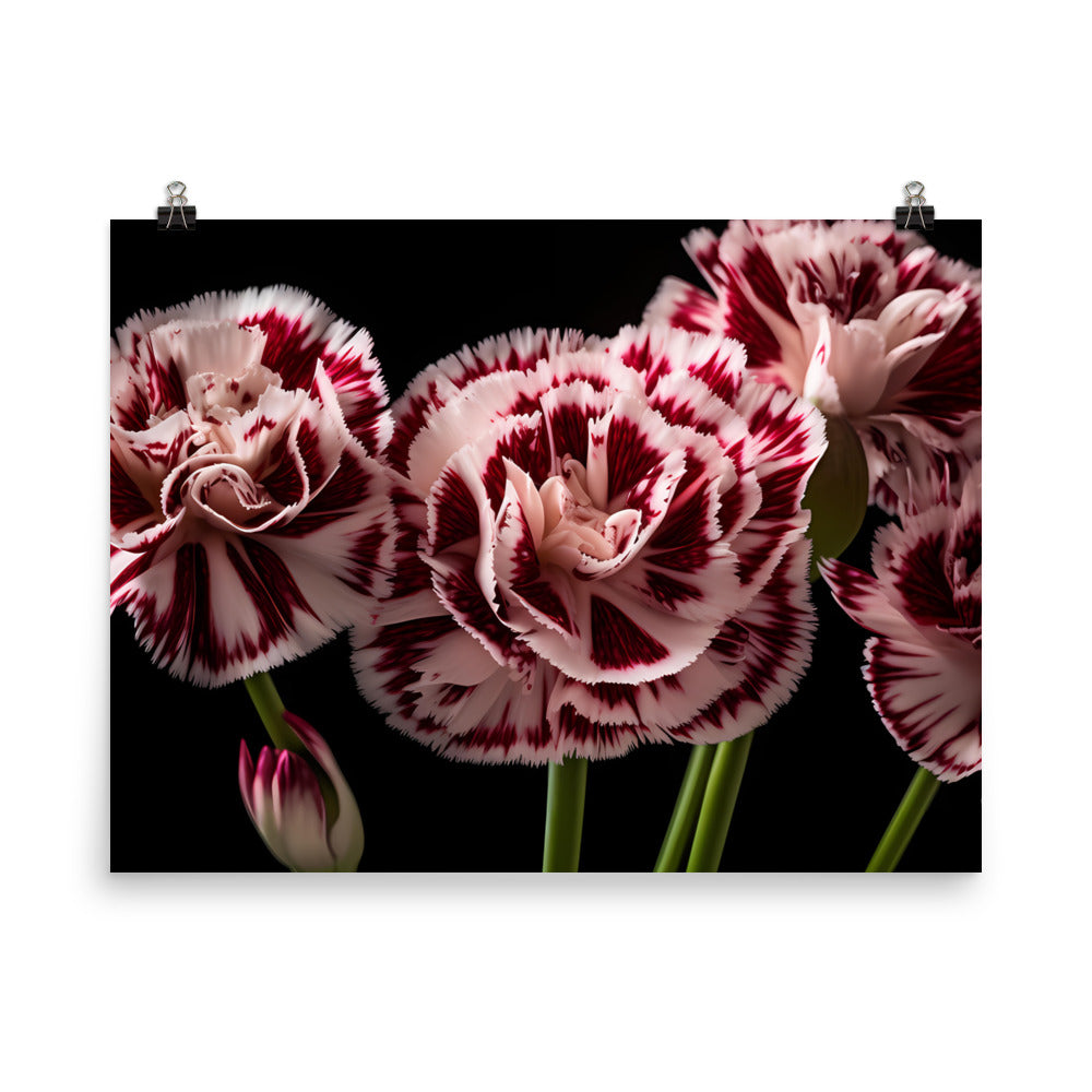 Unique Striped Carnations photo paper poster - Posterfy.AI